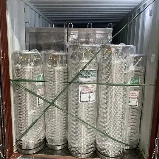 LN2 tank shipping package with protective padding for safe transport